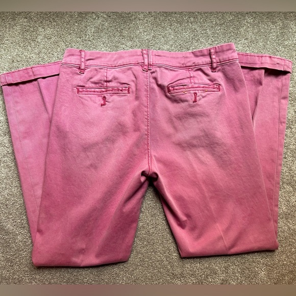 Anthropologie Pilcro and the Letterpress pants Hyphen sz. 28 mauve low-mid rise - Picture 4 of 6